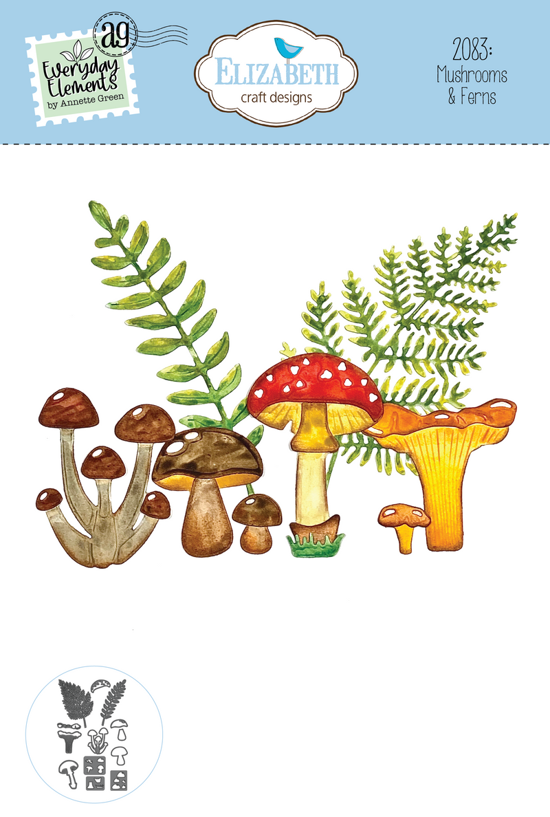 Mushrooms & Ferns