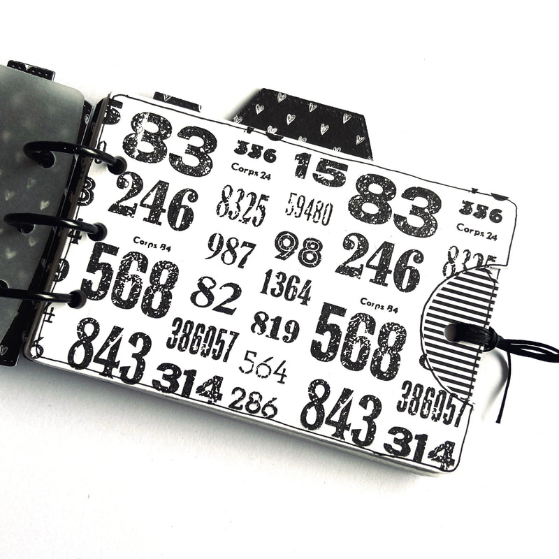 Camera Insert Kit