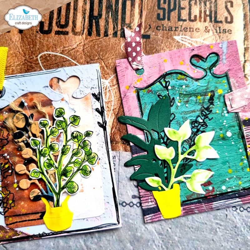 Home Jungle Special